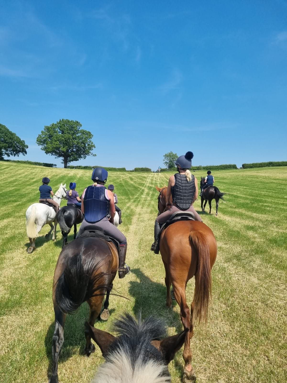 Riders on horseback in open countryside