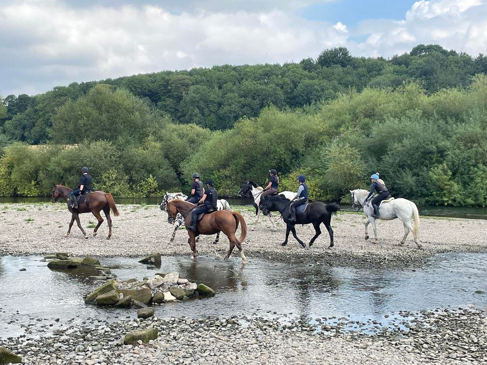 IMG_3458 A group of horses and riders down by the river Severn