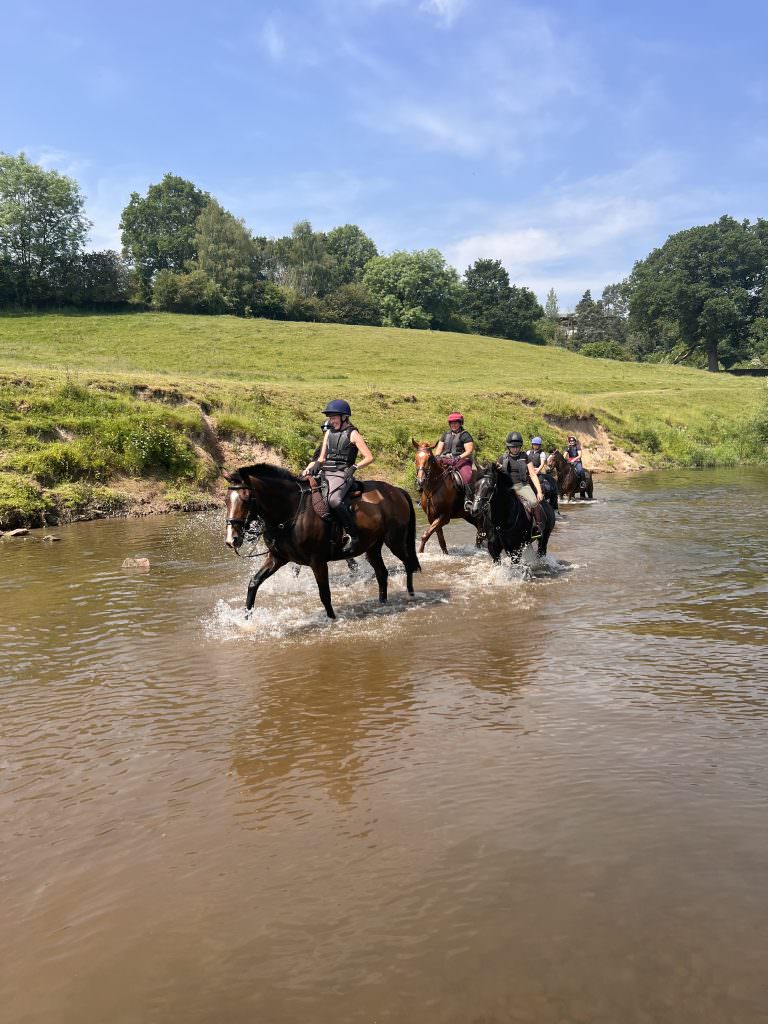 IMG_9321 Horses in the river Severn