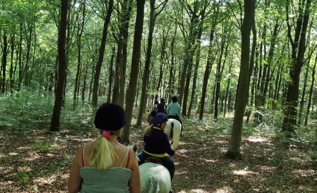 Two girls on horseback riding through the forest