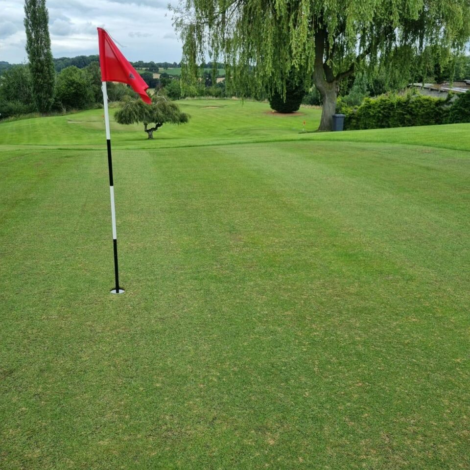 a green flag on the pitch and putt golf course