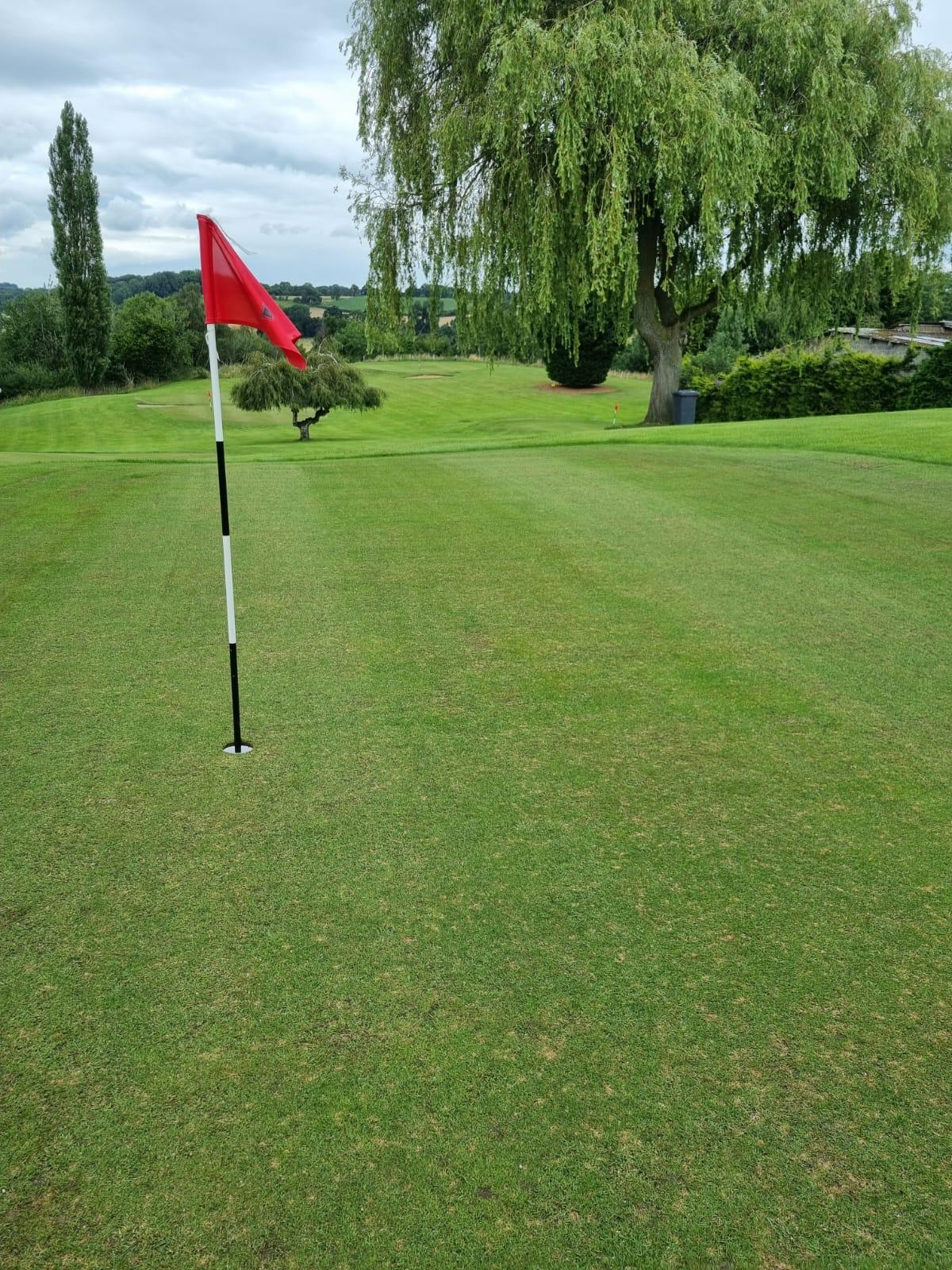 a green flag on the pitch and putt golf course