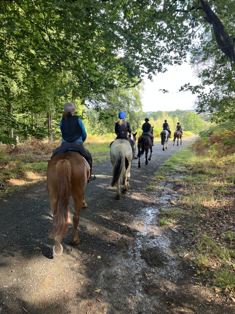 IMG_6630 bank farm equestrian group hack in the wyre forest