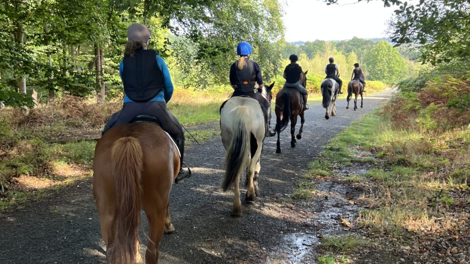 bank farm equestrian group hack in the wyre forest
