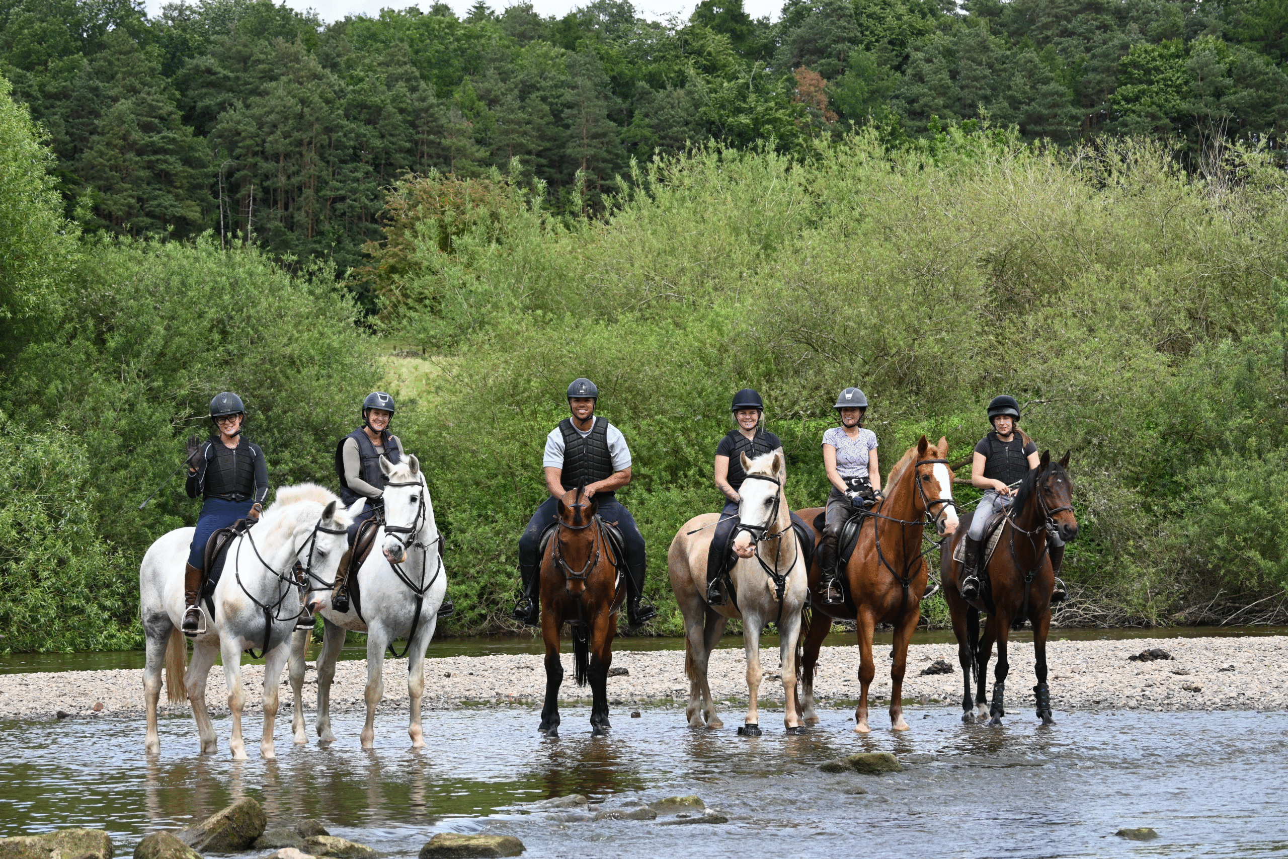 Horses in the river severn doing a bank farm pop and paddle