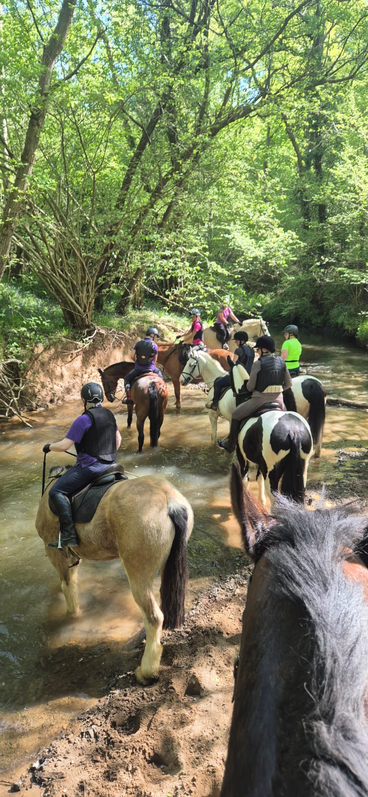 A group on horse back at Dowels Brook A HORSE RIDONG GROUP AT DOWLES BROOK NEAR BANK FARM EQUESTRIAN CENTRE