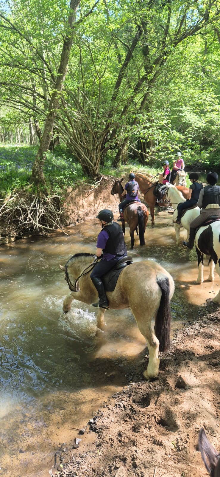On horseback in Dowels Brook