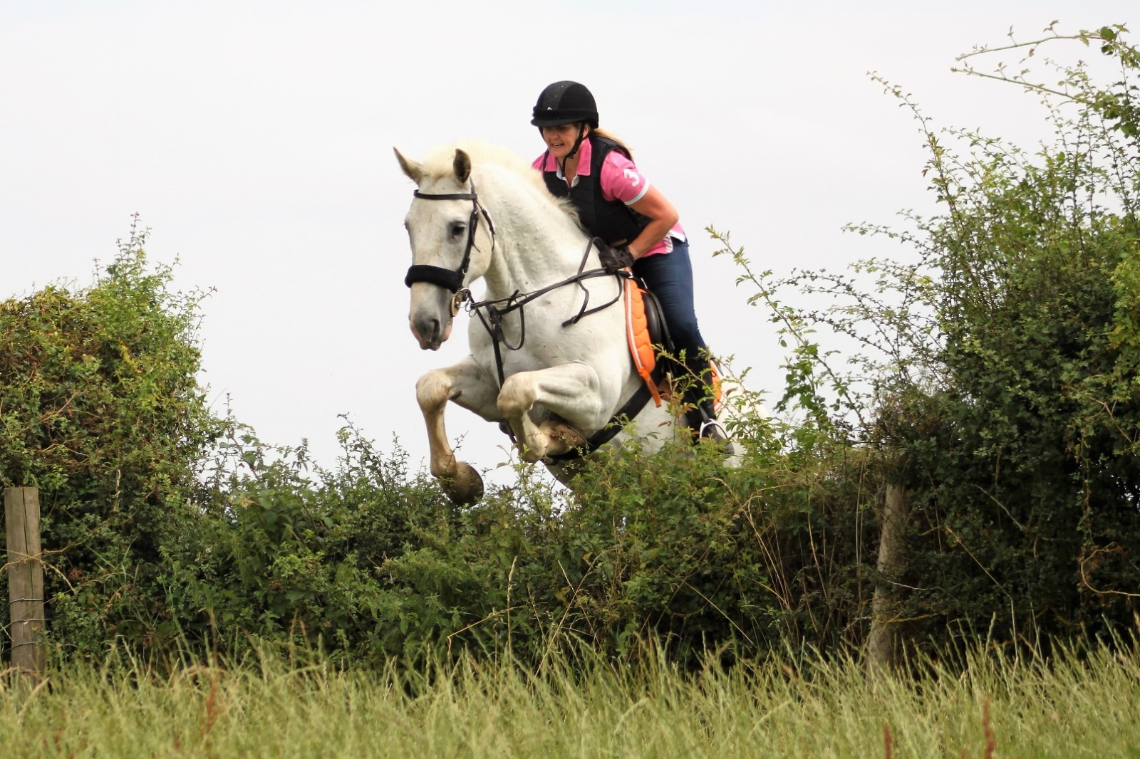 Cross country jump