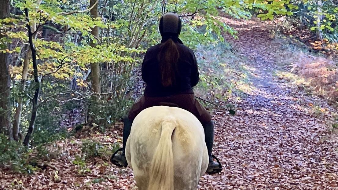 In the Wyre forest a lady on a grey horse in the wye fores