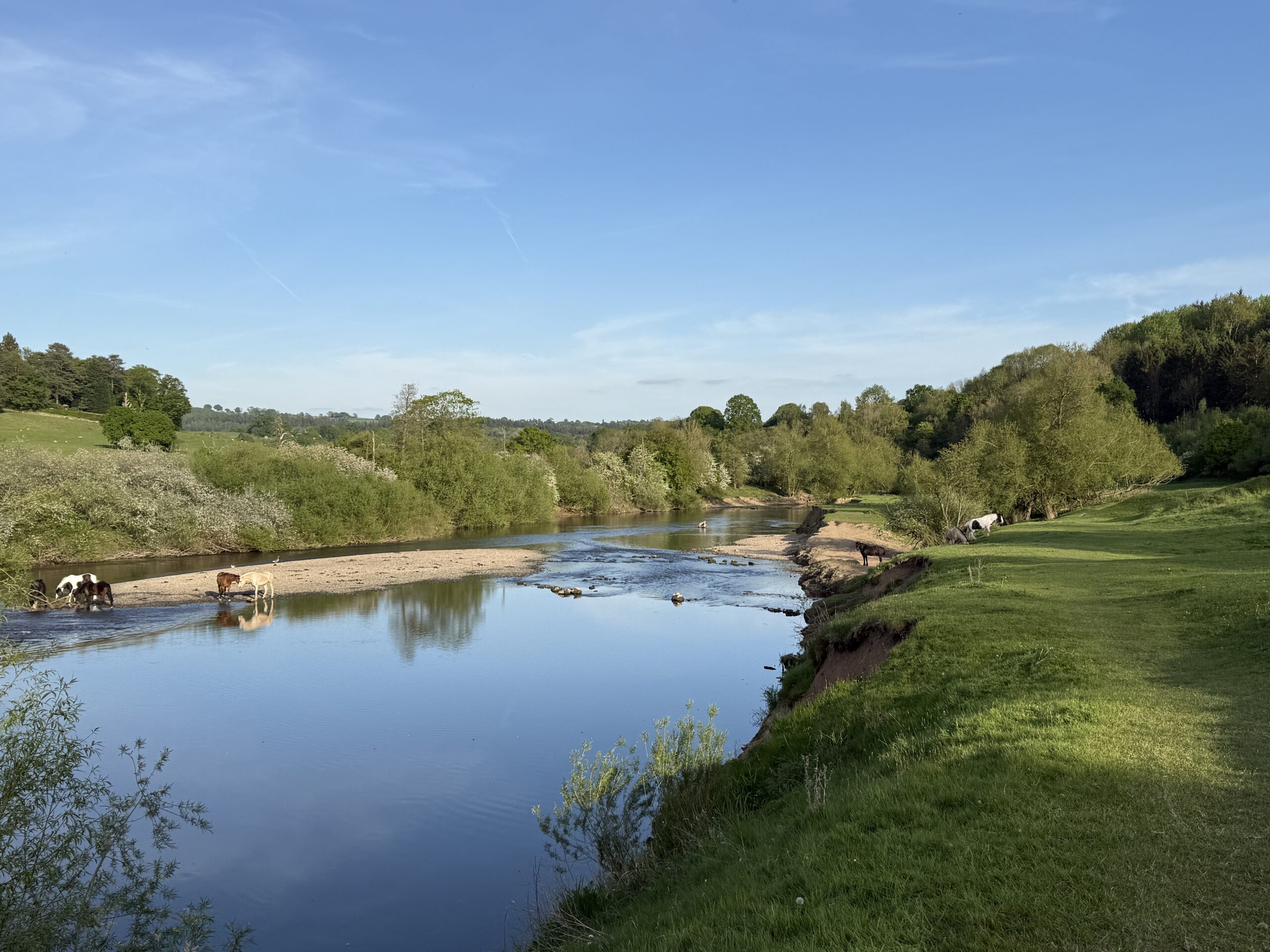 River Severn