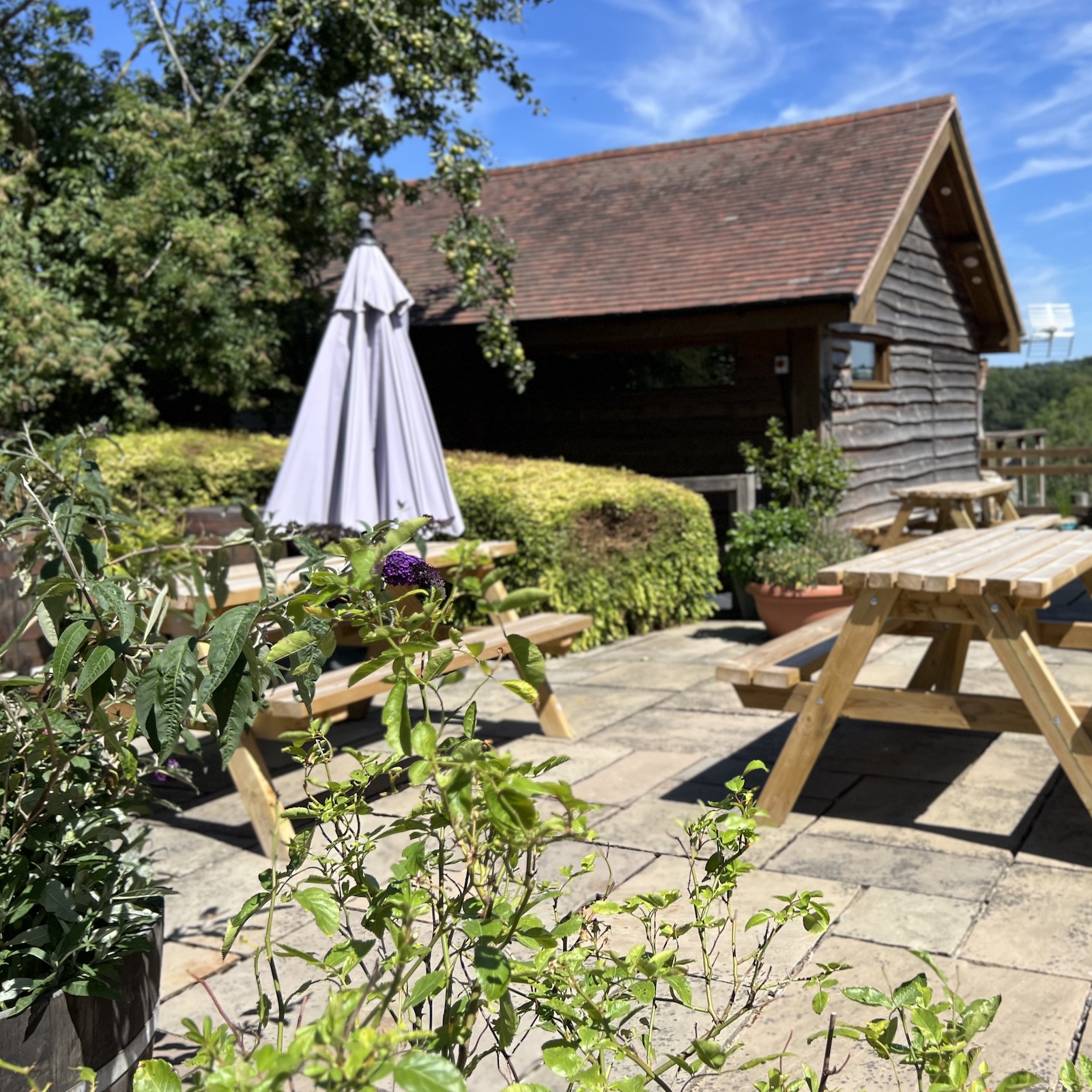 Outside spa lodge and garden