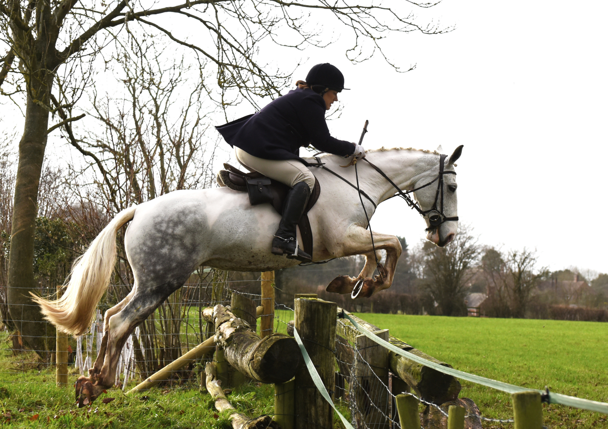 a bank farm trail hunt hire horse jumping a fence