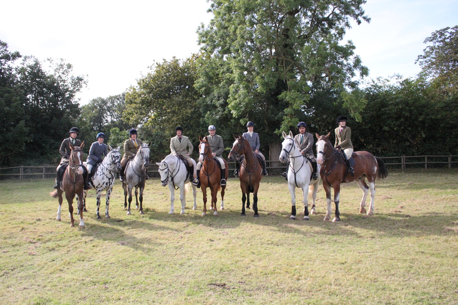 bank farm horses at a trail hunt meet