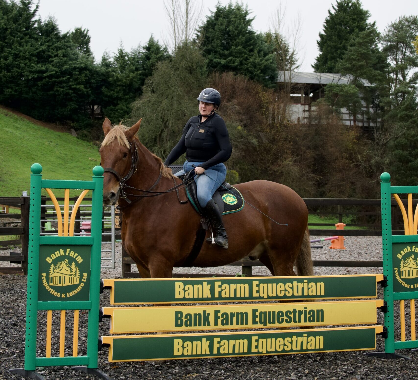 Casper next to a horse jump