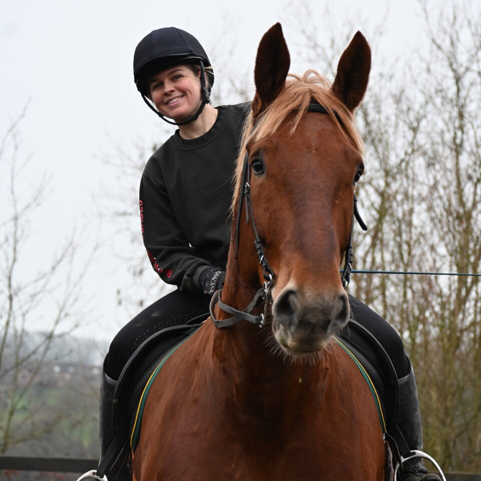 a happy horse rider on casper the suffolk punch at bank farm equestrian