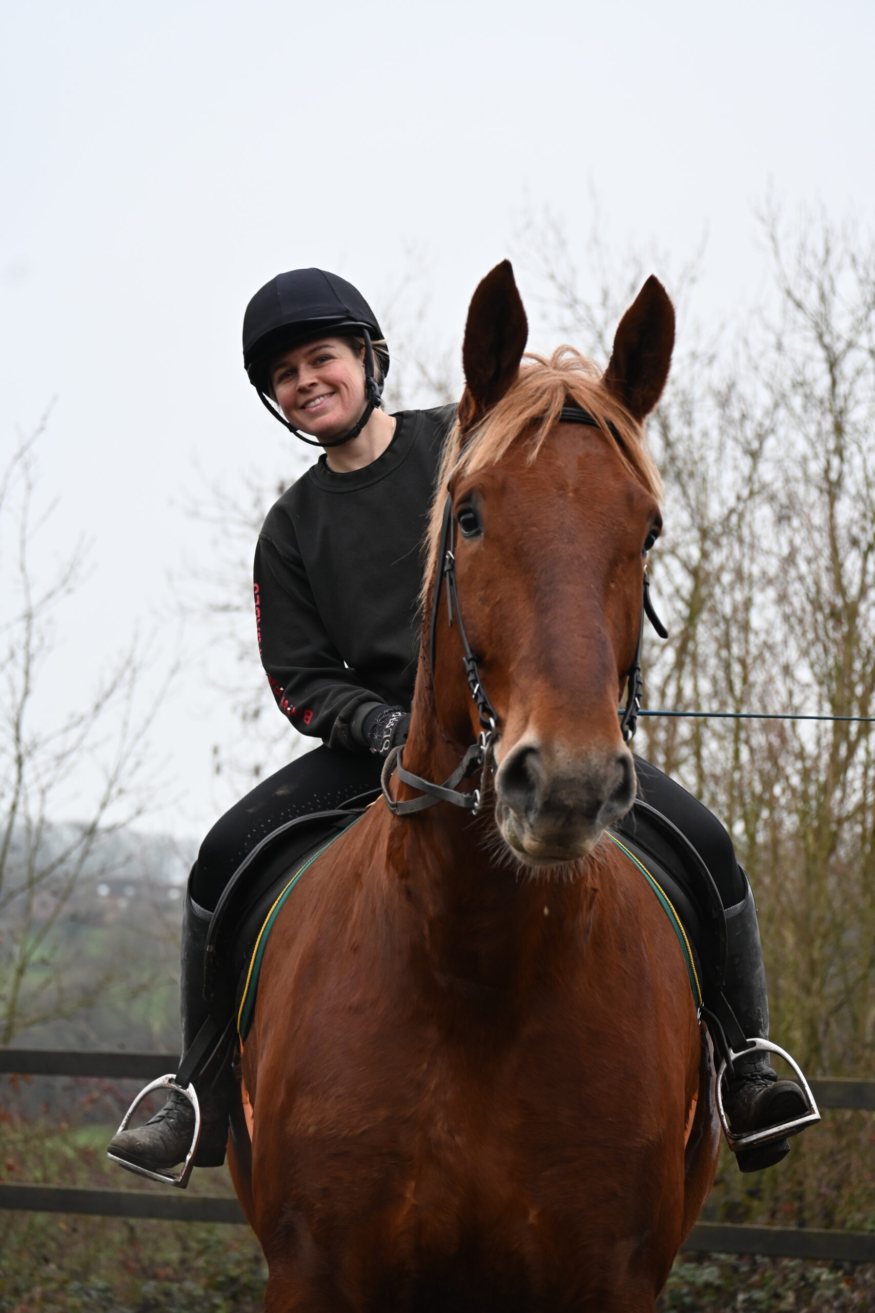 a happy horse rider on casper the suffolk punch at bank farm equestrian