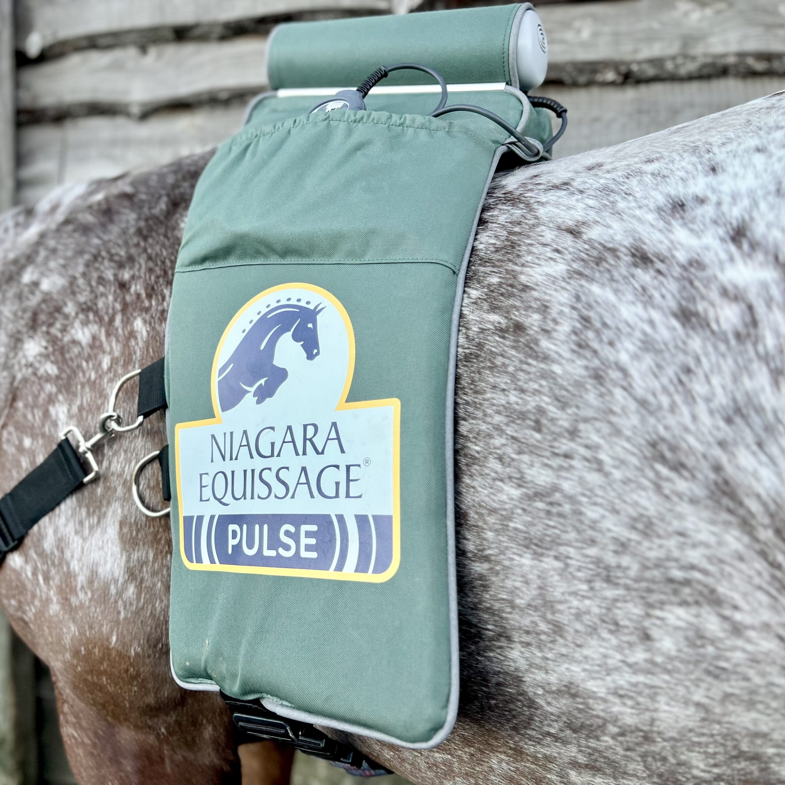 equissage massage pad on a horse at bank farm equestrian