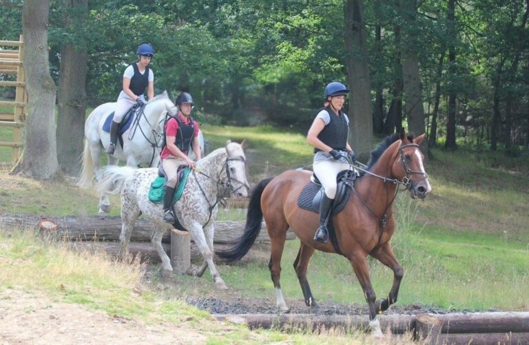 Horses and riders enjoying equigility tasks at bank farm equestrian